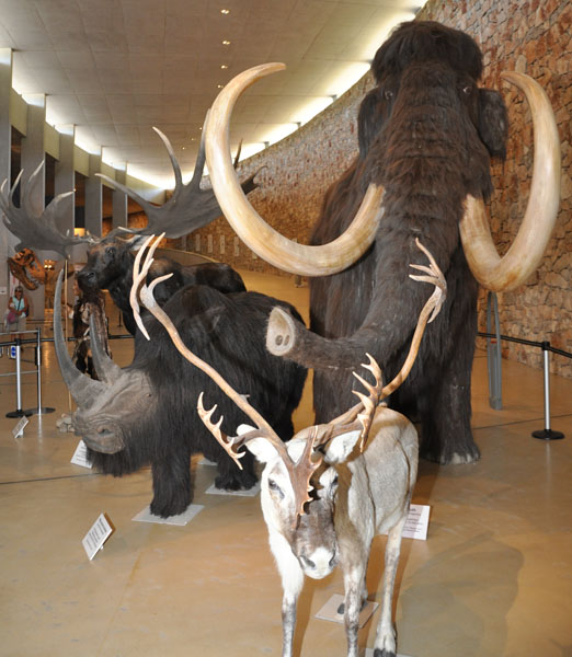 Museo della Preistoria delle Gole del Verdon