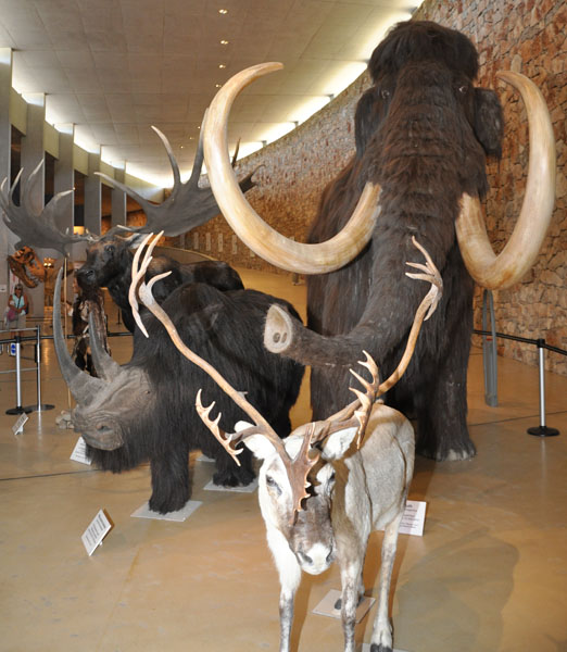 Museo della Preistoria delle Gole del Verdon