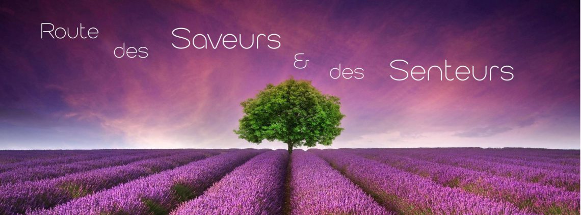 (Strada dei sapori e delle fragranze) (Route des saveurs et des senteurs)