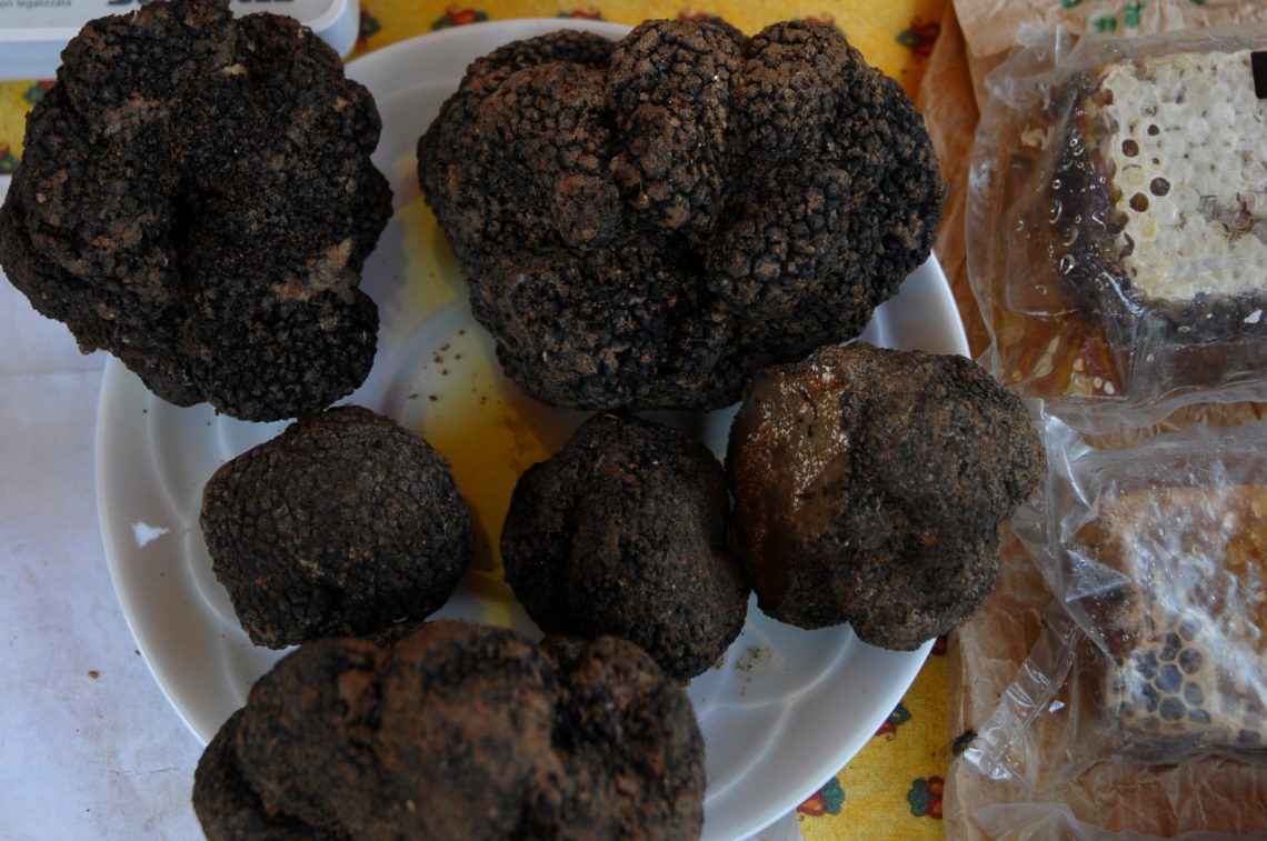 tartufo di Alta Provenza