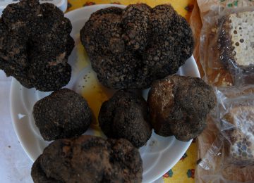 Truffles from Haute-Provence