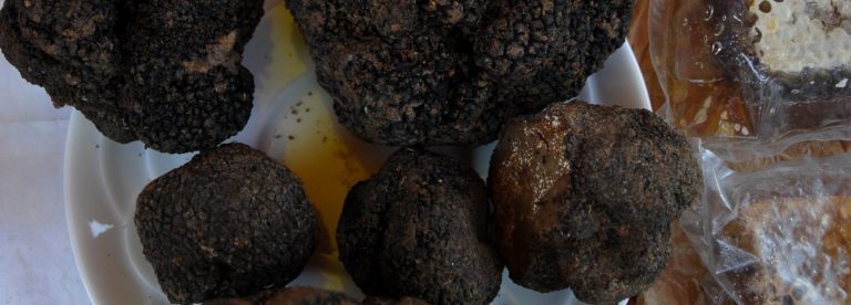 Truffles from Haute-Provence