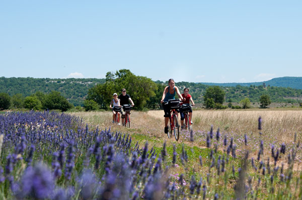 Andare in bicicletta nella regione di Forcalquier, Montagna di Lure, Luberon
