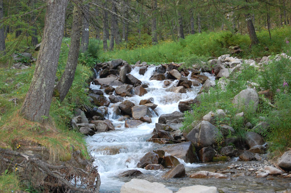 La pesca nel fiume