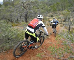 Sito Mountain-bike Provenza Verdon MBK ©William Fautre