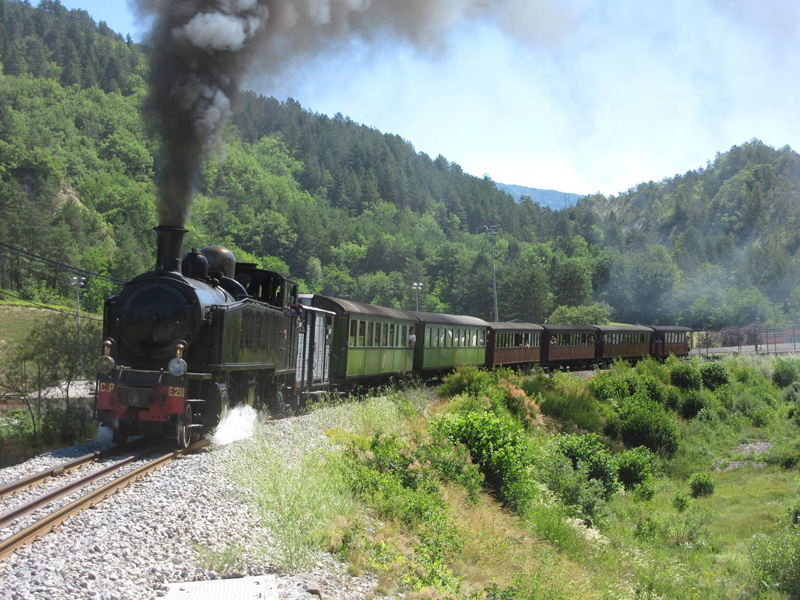 il treno a vapore