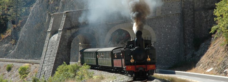 Train des Pignes à vapeur © GECP Accesso e trasporti