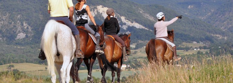 Sport equestri