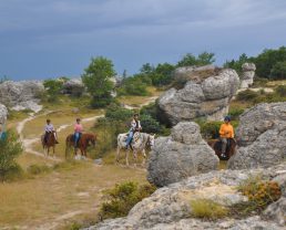 cheval dans les Mourres ©Centre de Randonnée Equestre JANSSAUD