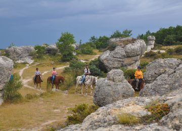 cheval dans les Mourres ©Centre de Randonnée Equestre JANSSAUD