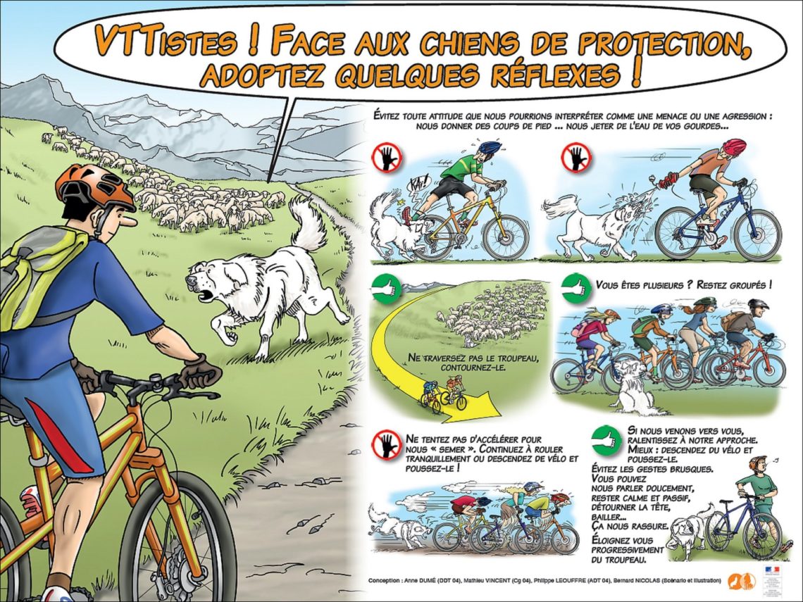 Comportamento raccomandato se si è in bicicletta o in mountain-bike