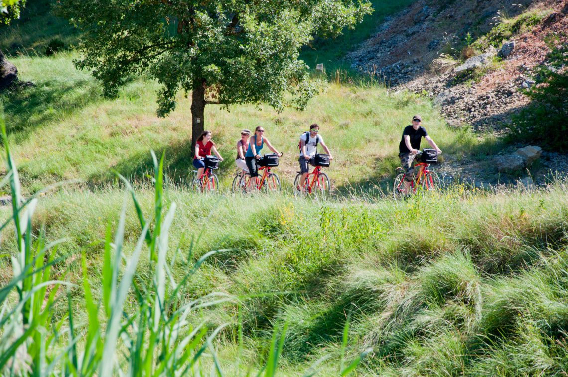 Andare in bicicletta sull'Altopiano di Valensole/Gréoux-les-Bains