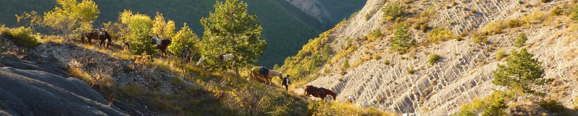 Route Napoléon à cheval labellisée « Grand Itinéraire Équestre »