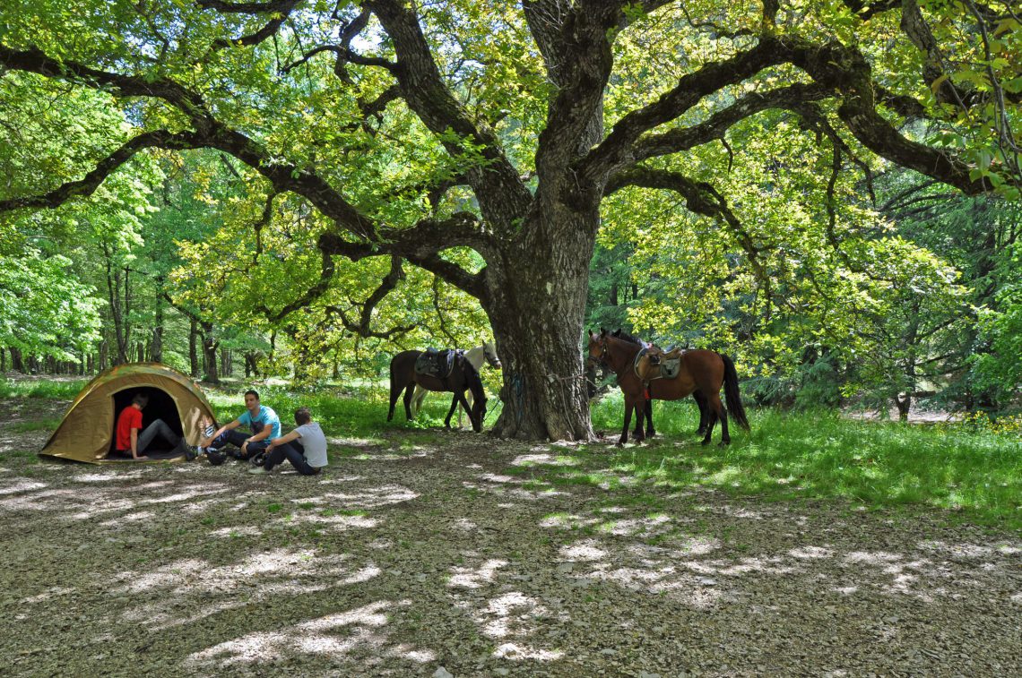 Itinerari equestri La route du Hussard Alta Provenza Haute-Provence Luberon