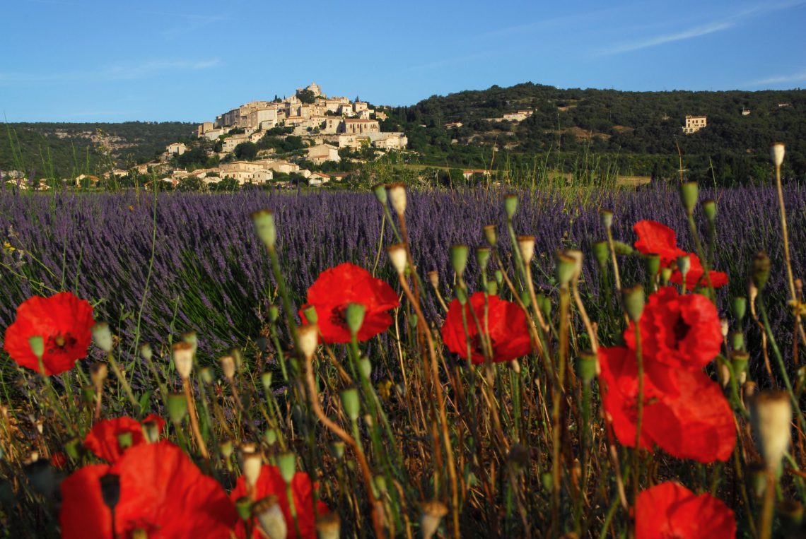 campo di lavanda nelle Simiane-la-Rotonde