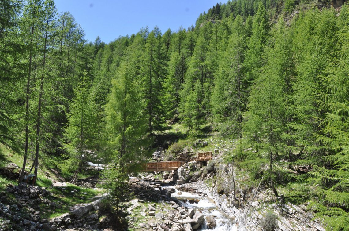 Area Trial di Haut-Verdon vallée de Chasse