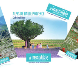 Opuscoli in francese